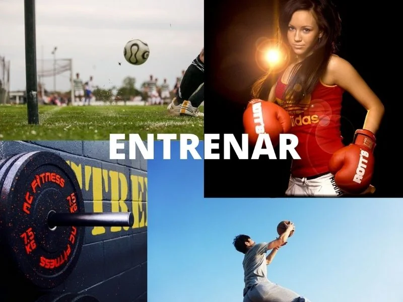 Dieta Deportista